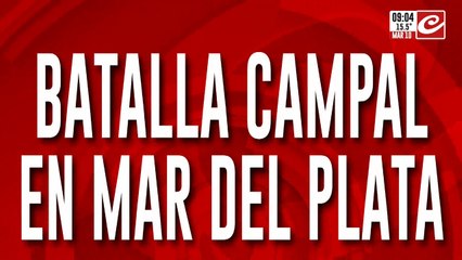 Tremenda batalla campal en Mar del Plata: vecinos a los palazos en plena calle
