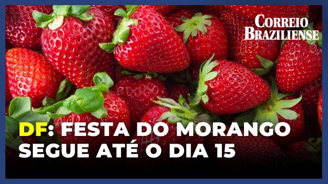 28ª Festa do morango: confira delícias feitas com a fruta