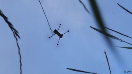 Protecting deer with drones in Switzerland