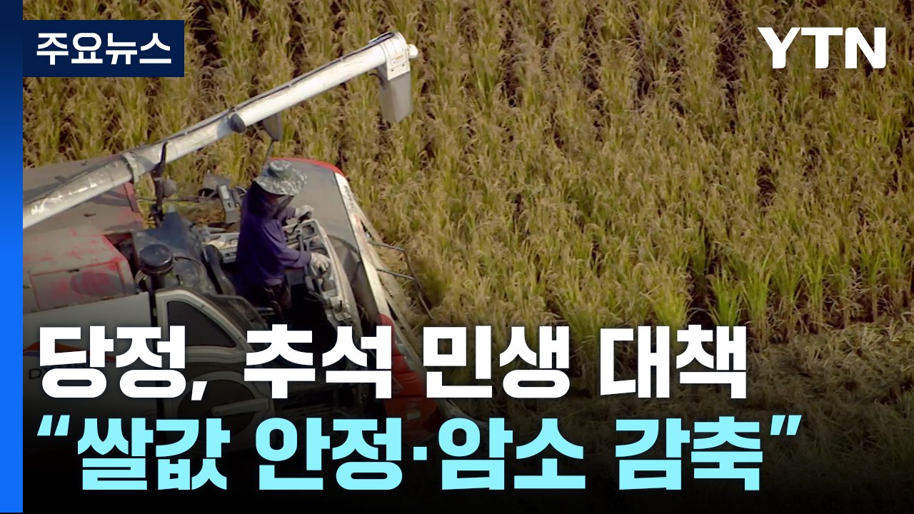 당정 "쌀값 조기 안정, 암소 감축"...추석 민생 총력전 / YTN