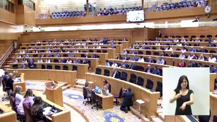 Alicia García (PP) pisa el acelerador y arrolla a Bolaños en el Senado: "¡Regalan Lamborghini en forma de 'cuponazo' separatista!"