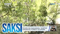 Iba't ibang species ng bakawan, tampok sa Tawsan Mangrove Forest Ecopark | Saksi