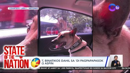 Restaurant, binatikos dahil sa 'di pagpapapasok sa alagang aspin