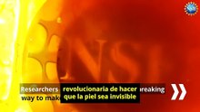Científicos lograron hacer transparente la piel