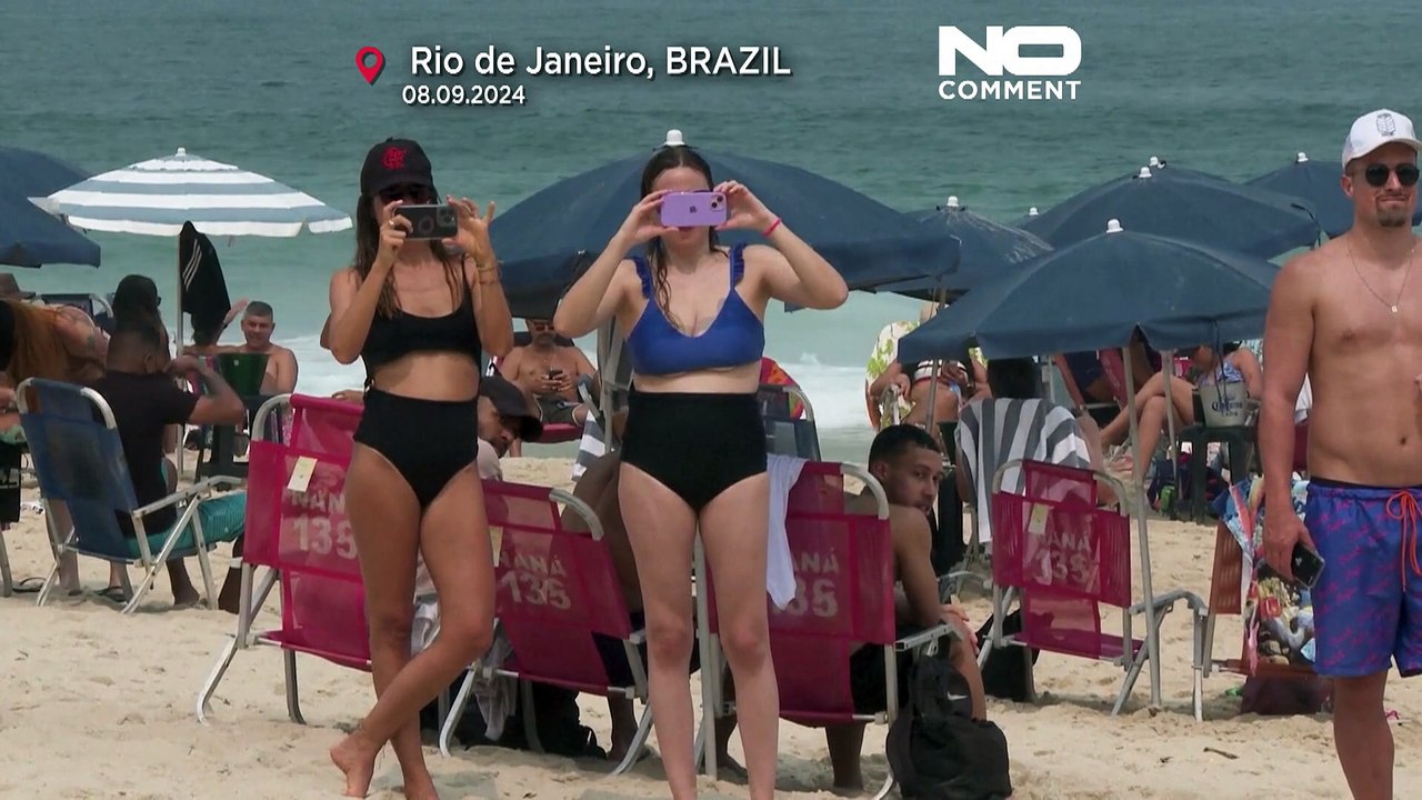 Sensation Border Collie Floki behauptet sich im Footvolley