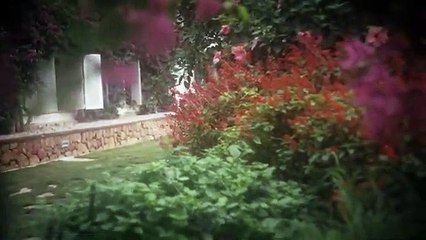 'Ida Vitale'- Tráiler oficial