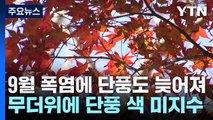 [날씨] 역대급 9월 폭염, 단풍도 늦춘다...단풍 색 '미지수' / YTN