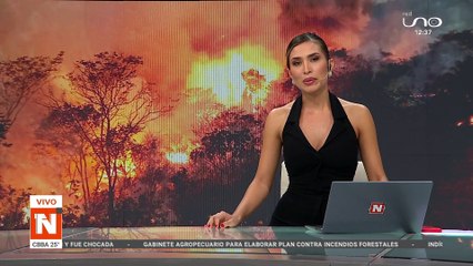 Estudiantes se unen para luchar contra incendios forestales 🌲🔥