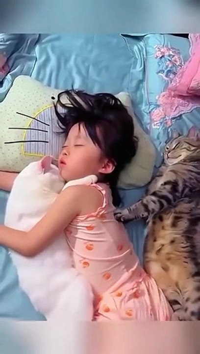 cat lovers