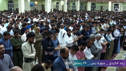 رعد الكردي , يذهل الجميع  بسورة يس  في أجمل الليالي _ ليلة 29 رمضان 1442