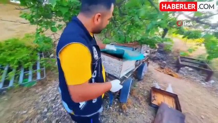 Malatya'da 'torbacı' operasyonu: 20 gözaltı