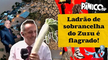 FUZIL QUER SABER: ENCHENTES E SECA VÃO FAZER O NABO ENTRAR NA FEIRA?