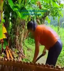 The mother fighting strom to protect her house