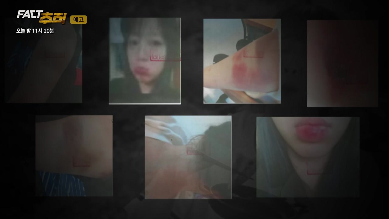 사랑을 가장한 범죄, '교제 폭력'의 민낯 [오늘 밤 팩트추적] / YTN