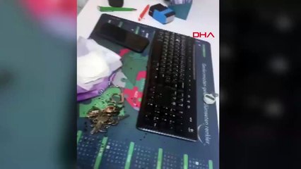 Doktora çaydanlıkla saldırıp ağır yaraladı!