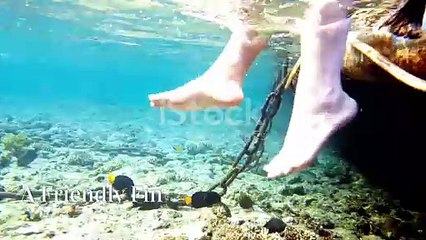 invideo-ai-1080 The Little Explorer and the Friendly Dol 2024-08-31