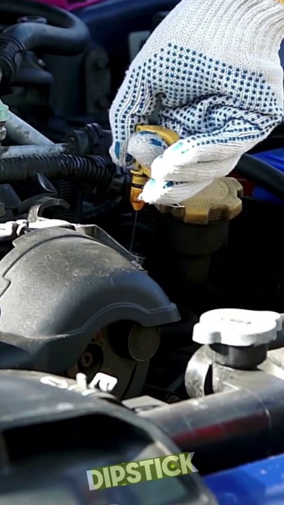 How to Check Your Cars Oil Level