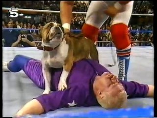 WWF Catchen (Tele5)  1990-02