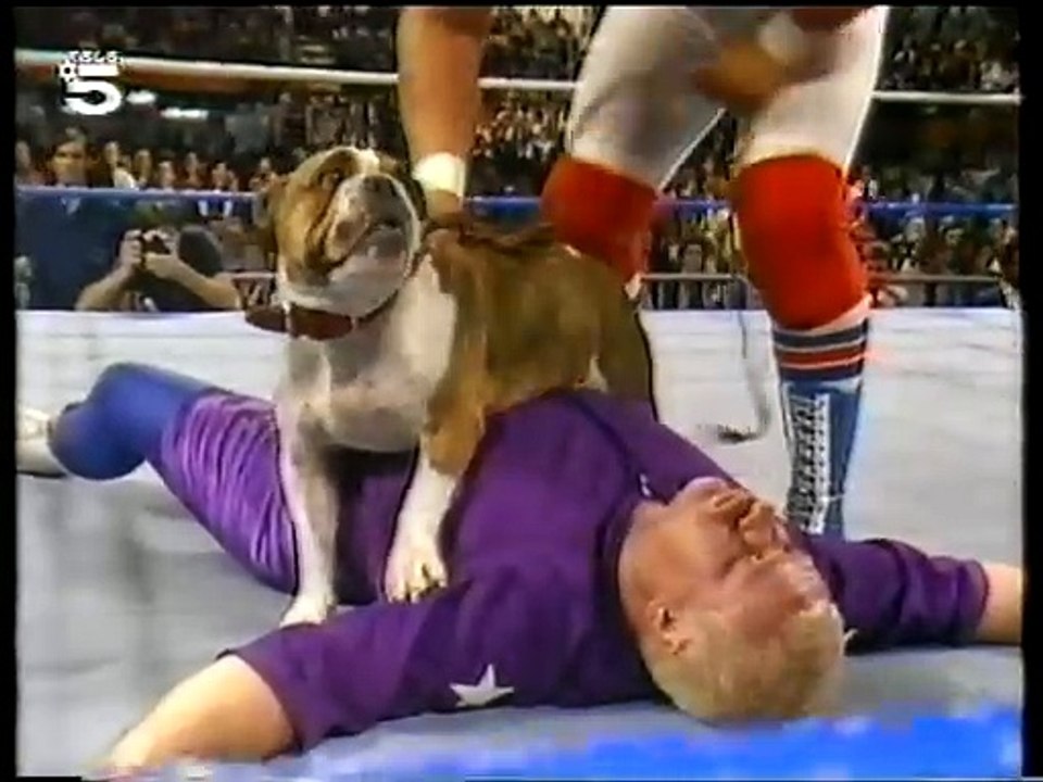 WWF Catchen (Tele5)  1990-02