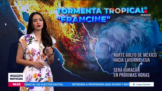 Incendios Bolivia han destruido 3.8 millones de hectáreas de bosques