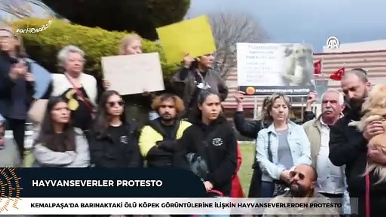 Kemalpaşa'da barınaktaki ölü köpek görüntülerine ilişkin hayvanseverlerden protesto