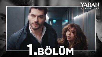 Yaban Çiçekleri 1. Bölüm