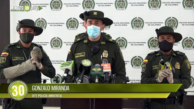 ¡Qué buena! Policía logró rescatar más de 20 animales silvestres que estaban en cautiverio en el Valle de Aburrá