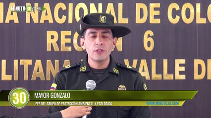Tanta crueldad En Bello un tipo casi mata a un perrito con una pulidora, las mascota tenía una grave herida en su cuello