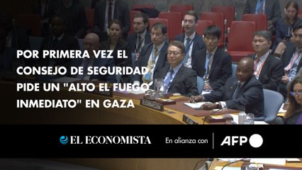 Por primera vez el Consejo de Seguridad pide un "alto el fuego inmediato" en Gaza