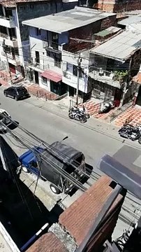 01-01-18-mascota-campo-valdes