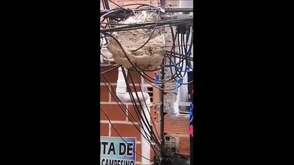 21-02-2021-denuncia ciudadana