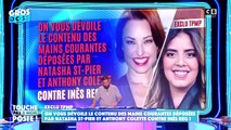 Touche pas à mon poste : Cyril Hanouna dévoile le contenu des mains courantes déposées par Natasha St-Pier et Anthony Colette