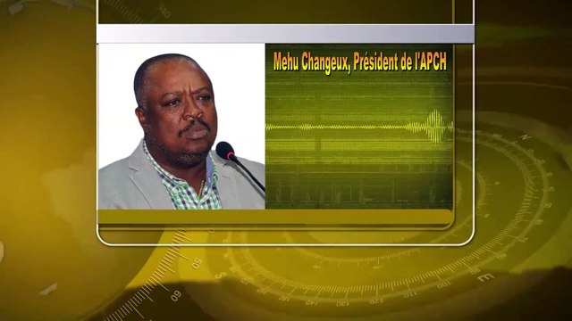 Prezidan asosiyasyon pwopriyetè ak chofè Dayiti yo Mehu Changeux rejte konsèy prezidansyèl 7 manm la