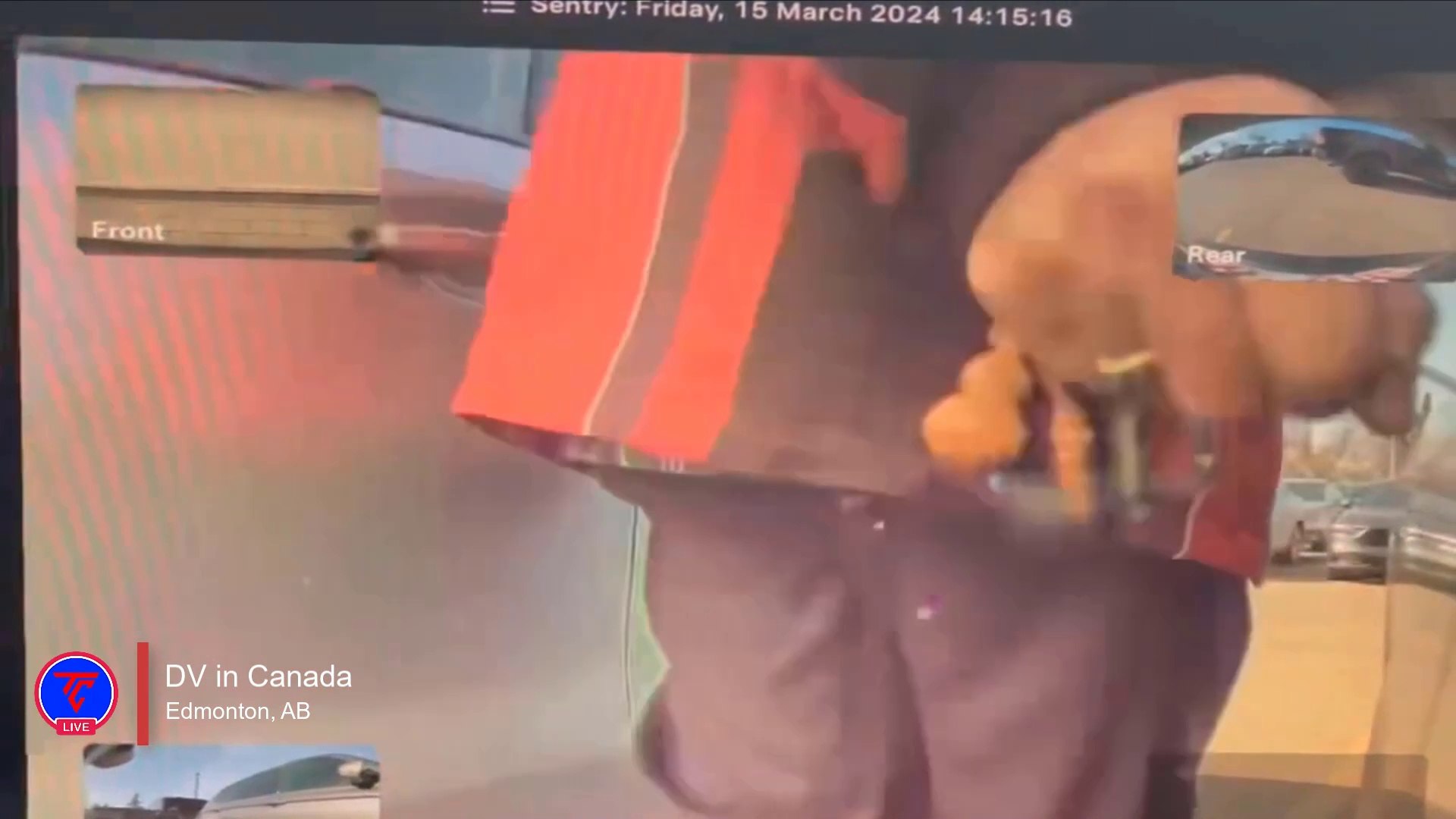 ⁣Tesla Sentry Mode Catch Guy Keying My Tesla | TeslaCam Live