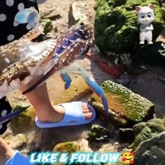 Plage de galets très propre.