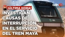 ¡última Hora! Tren Maya investiga las causas de la interrupción del servicio en Yucatán