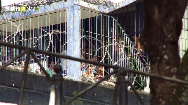 11-03-19 Reclusos de Antioquia podrán terminar su bachillerato de manera digital gracias a novedoso programa de la Gobernación