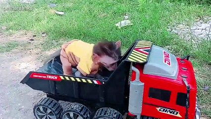 cute baby monkey riding a truck
