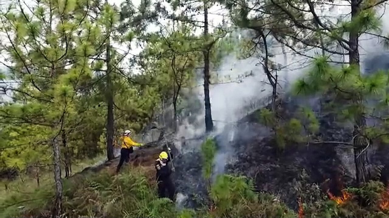 Labores incendio Cerro Quitasol