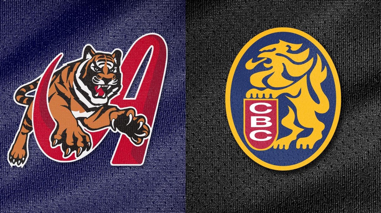 TIGRES DE ARAGUA vs LEONES DEL CARACAS 22/11/2023