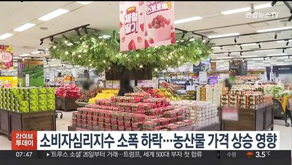 소비자심리지수 소폭 하락…농산물 가격 상승 영향