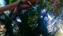 tuko