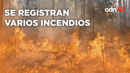 ¿Cuantos incendios activos se reportan al corte de hoy? I Ruleta Informativa