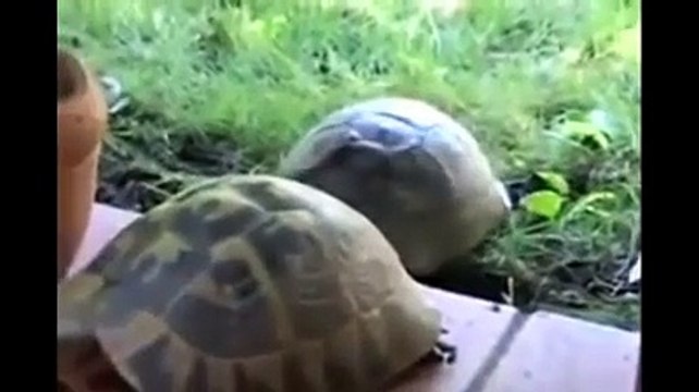 Jordi Pujadas y Nuria: Una historia de amor | movie | 2024 | Official Trailer