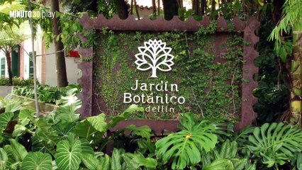 15-07-19 Uno de los mariposarios más grandes de Antioquia ya abrió sus puertas al público