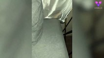 #WTF: Esta chica encuentra una araña en su cama