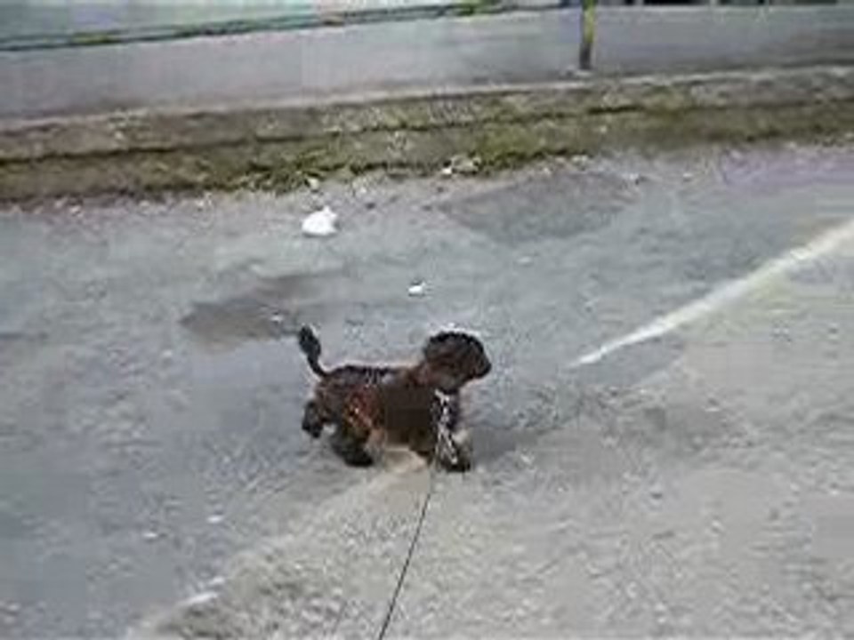 hermione marche 070408