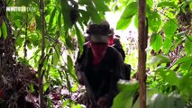 22-01-19 En Urabá se combate el reclutamiento ilegal de menores y las minas antipersona