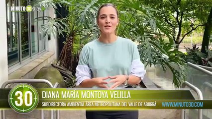 Osa perezosa fue liberada y ha recorrido más de tres kilómetros en el Valle de Aburrá