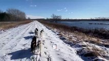 Trineo de perros captura un meteoro en vídeo después de que el boom 